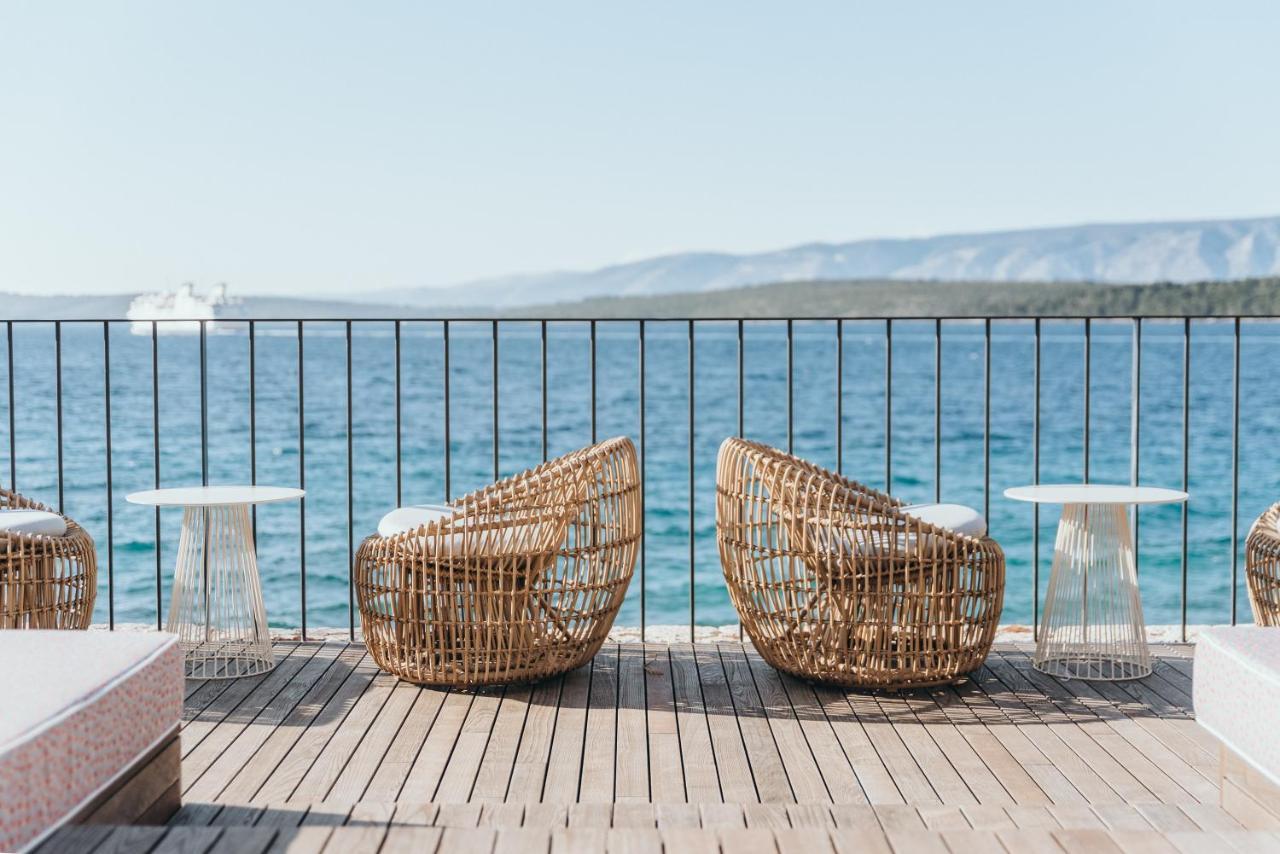 Maslina Stari Grad (Hvar)