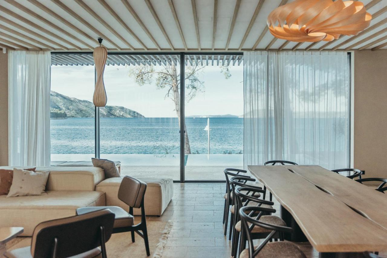 Maslina Stari Grad (Hvar)