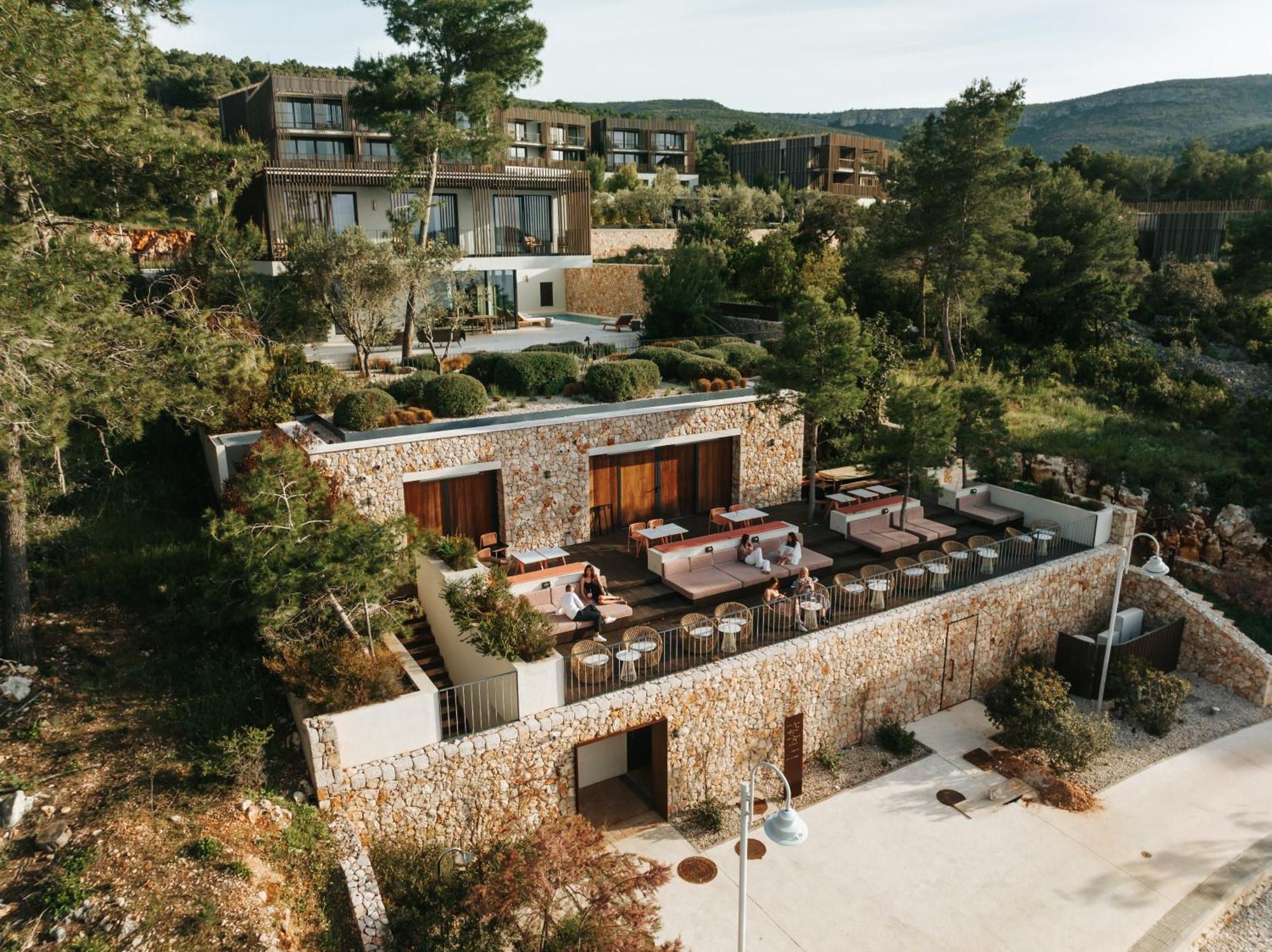 Maslina Stari Grad (Hvar)